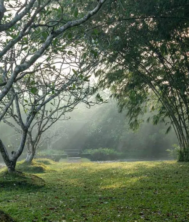 A Romantic One Night Stay at Lunuganga | Full Board, Candlelit Dinner, Garden Tour, Afternoon Tea | For 2