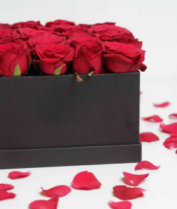25 fresh roses in a stylist black box