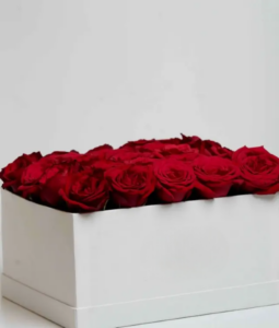 25 freshly sourced red roses in a stylist Ivory box.