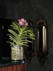 Delight your loved ones with the exquisite beauty of a Vanda orchid, elegantly displayed in a large glass jar. A perfect blend of nature and sophistication, this thoughtful gift is sure to leave a lasting impression
