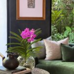Delight your loved ones with the exquisite beauty of a vanda orchid, gracefully presented in a small round glass jar. A perfect harmony of nature and elegance, this thoughtful gift is sure to leave a lasting impression