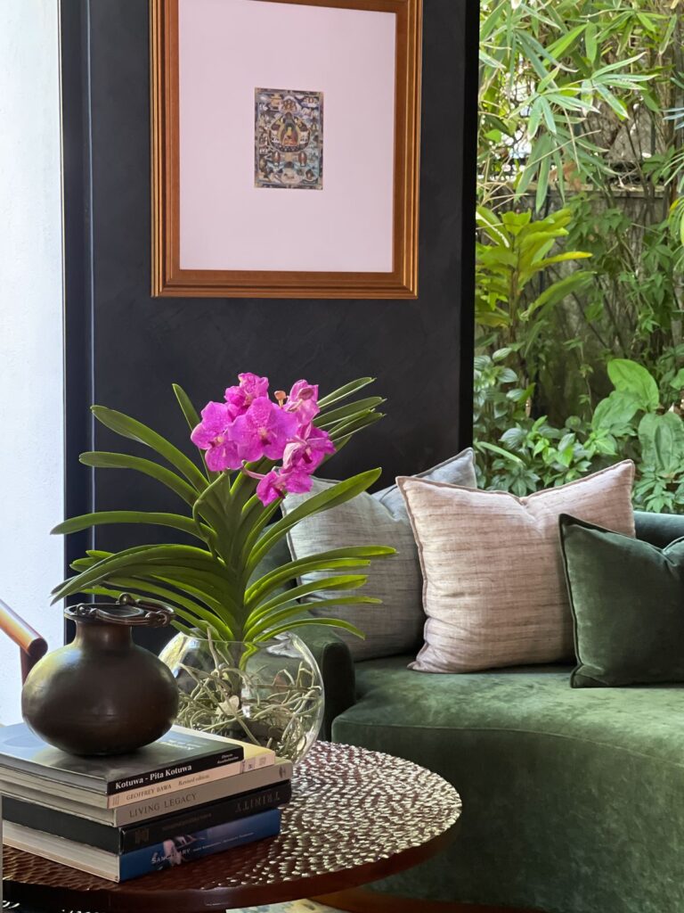 Delight your loved ones with the exquisite beauty of a Vanda orchid, gracefully presented in a small round glass jar. A perfect harmony of nature and elegance, this thoughtful gift is sure to leave a lasting impression