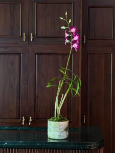 Lea | Purple Dendrobium in Gold Touched Terra Cotta Pot