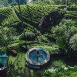 A two night suite stay | all inclusive: food, afternoon tea, spirits and wines | ceylon tea trails