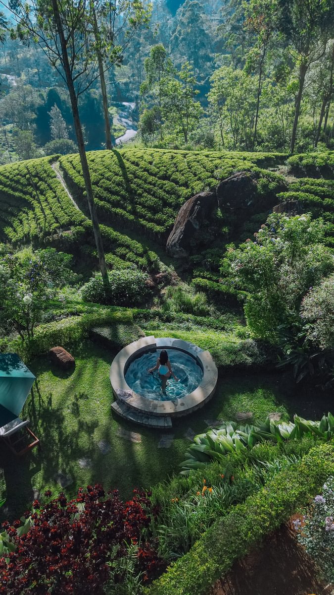 A Two Night Suite Stay | All Inclusive: Food, Afternoon Tea, Spirits and Wines | Ceylon Tea Trails