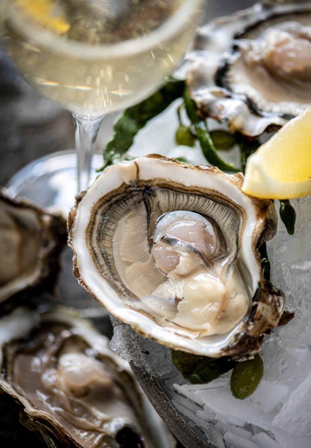 The Signature Oyster Experience | 12 Oysters with Signature Toppings · 2 Glasses of Sparkling - El Barrio 
