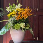 Citron | 3. 5  feet tall