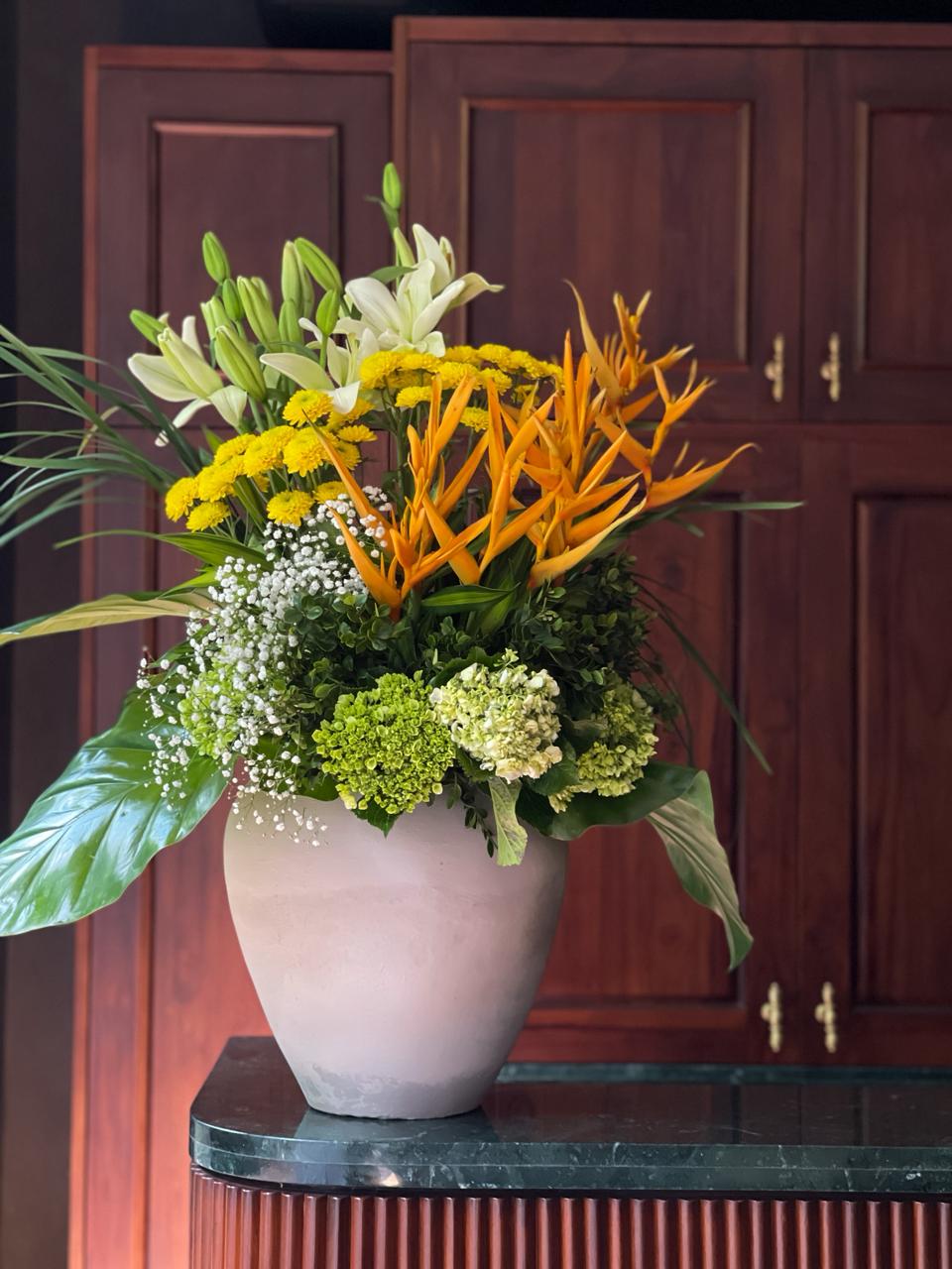 Citron | 3.5  Feet Tall