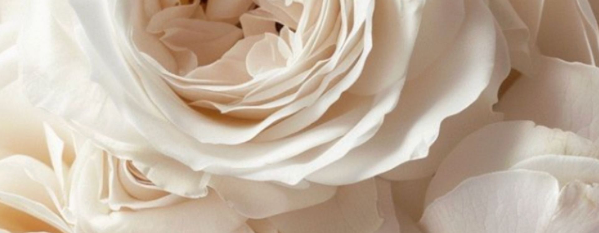Condolence Flowers