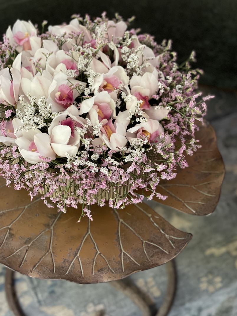 Imported Cymbidium Orchids with Heather | Orchid Colours May Vary -  