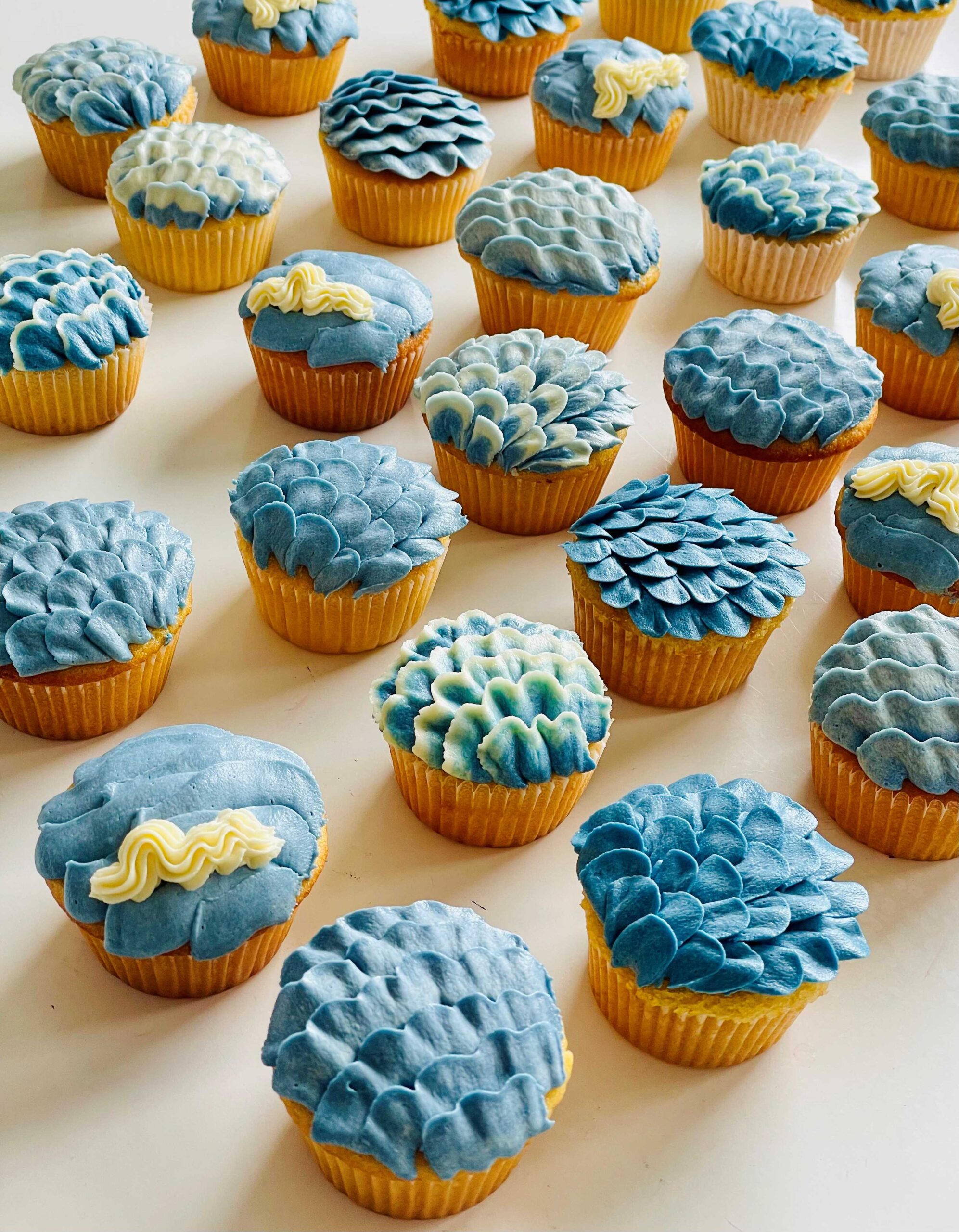 Coastal Tides  |  Box 12 Cupcakes | 02 Day Lead Time Required -  